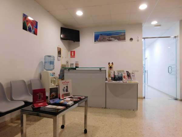 Clinica Veterinaria La Gloria — Del propietario