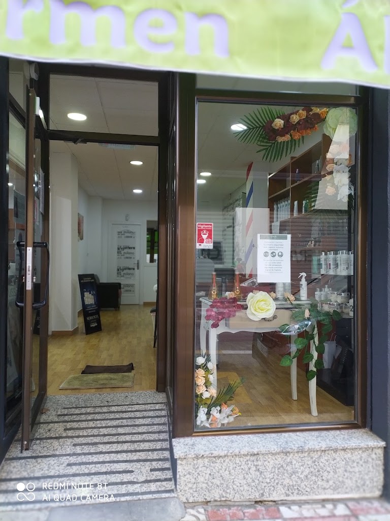 Peluqueria Carmen Alvarez
