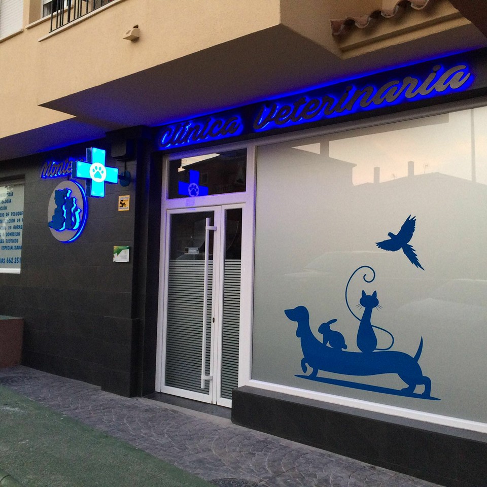 Clinica Veterinaria Montemar