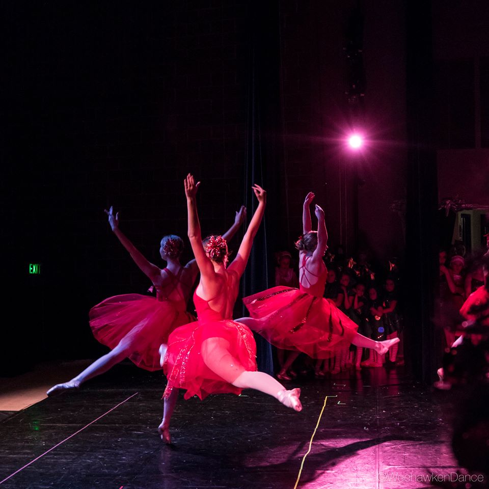  Weehawken Dance & Aerial — Montrose Dance, Aerial Silks and Arts Studio