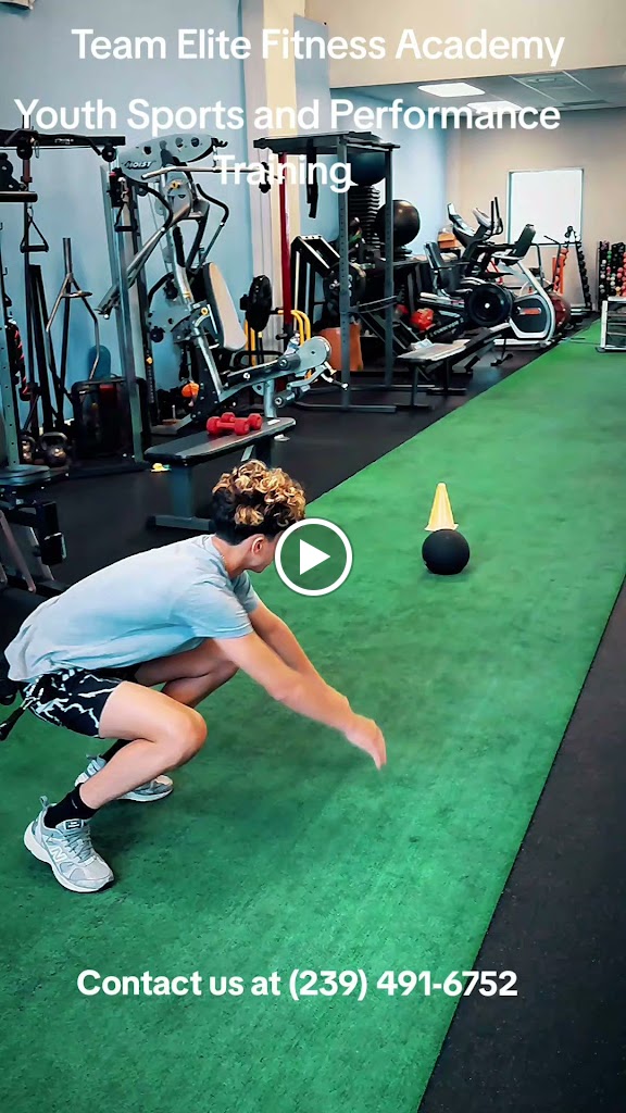  Team Elite Fitness Academy LLC