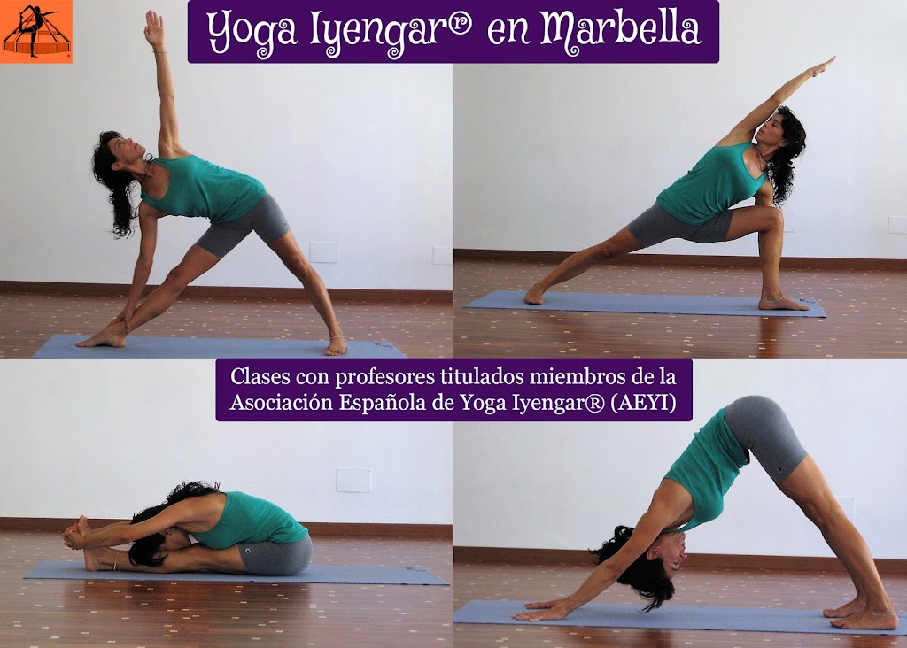 Yoga Iyengar