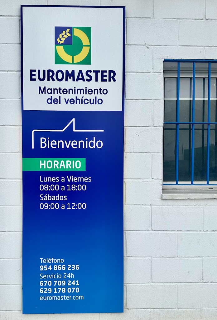 Euromaster Leocadio Alcaide Dos Hermanas — Del propietario