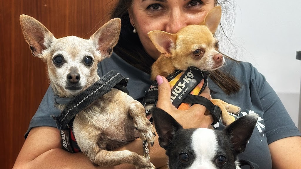 Eurocentro Clinica Veterinaria