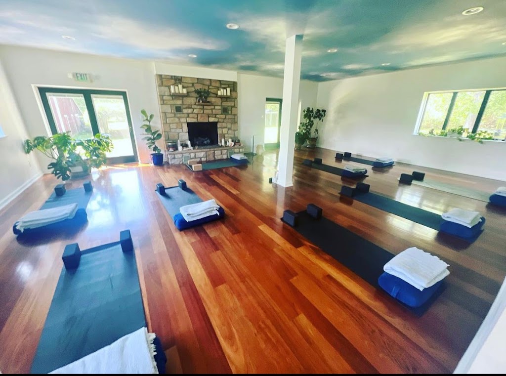  The Prancing Peacock