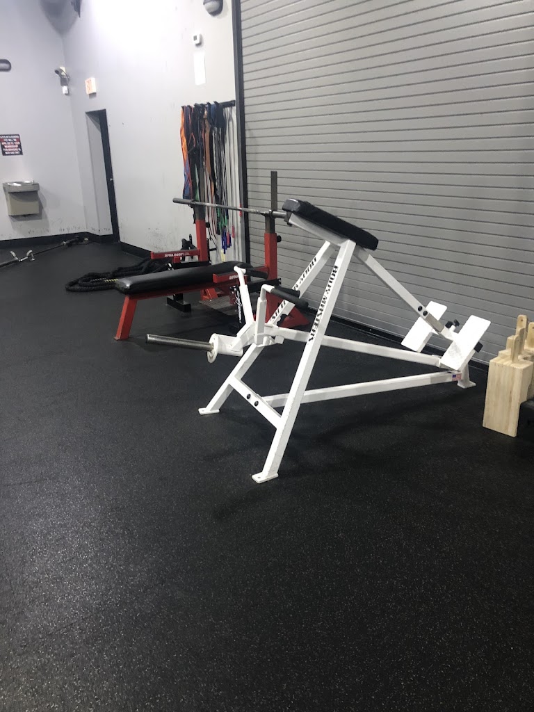  Willmore Total Fitness - Arab