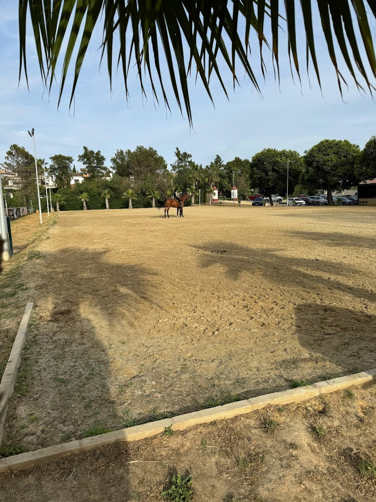 Escuela equitacion Adrian Mora Hipica