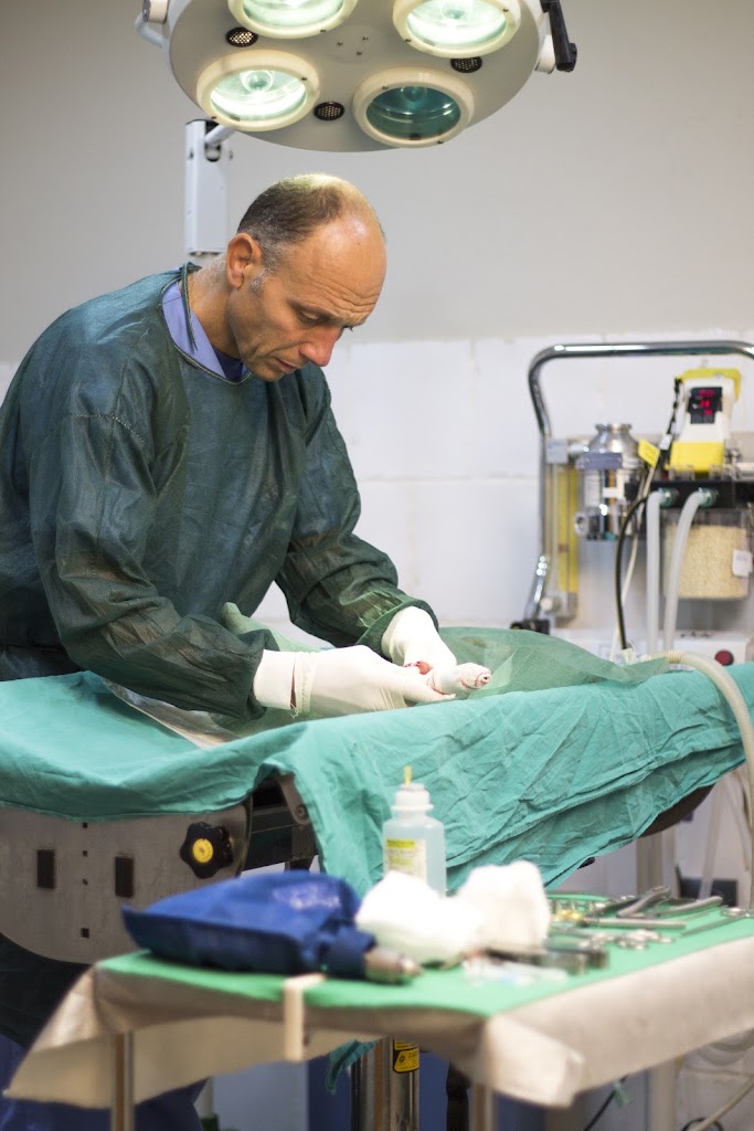 Clinica veterinaria Las Gabias — Del propietario