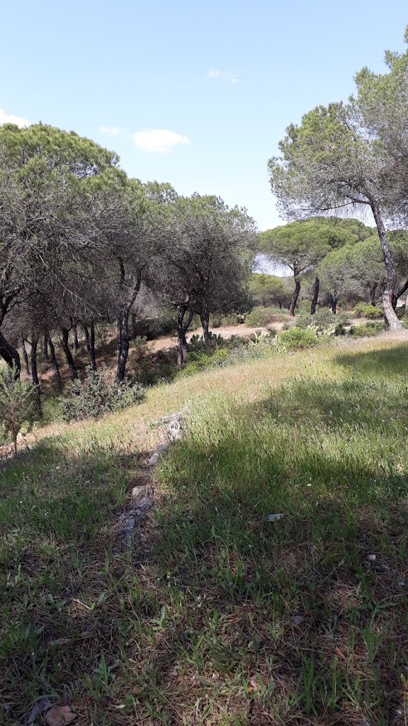 AREA RECREATIVA LOS MIRADORES