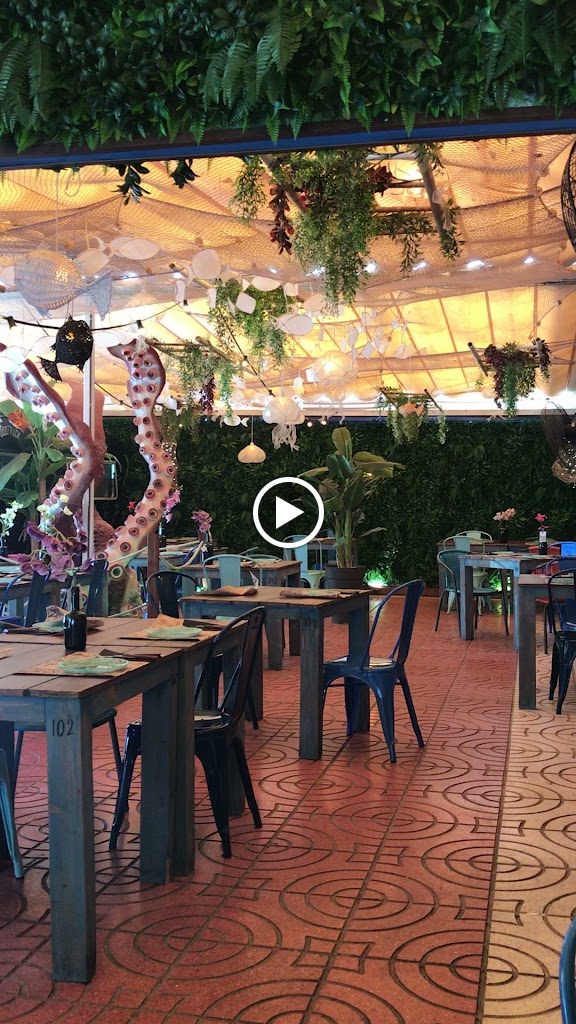 Botanic — Videos