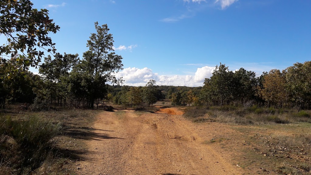 Camino Los Castanares
