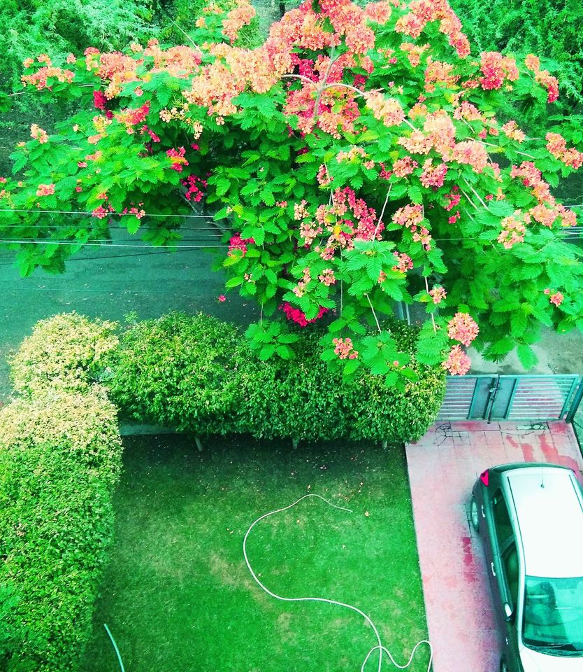 Lipstic Ladies Spa Salon