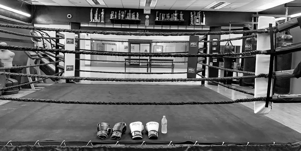  ALVAREZ BOXING CLUB