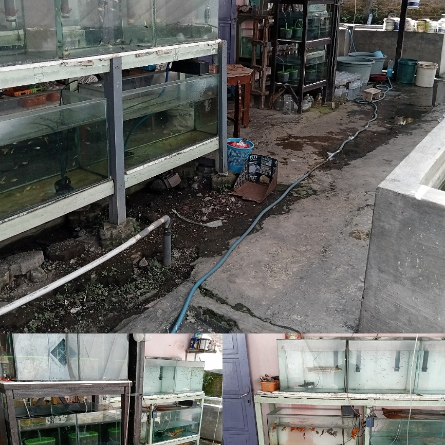 Mobil Juwari Bengkel