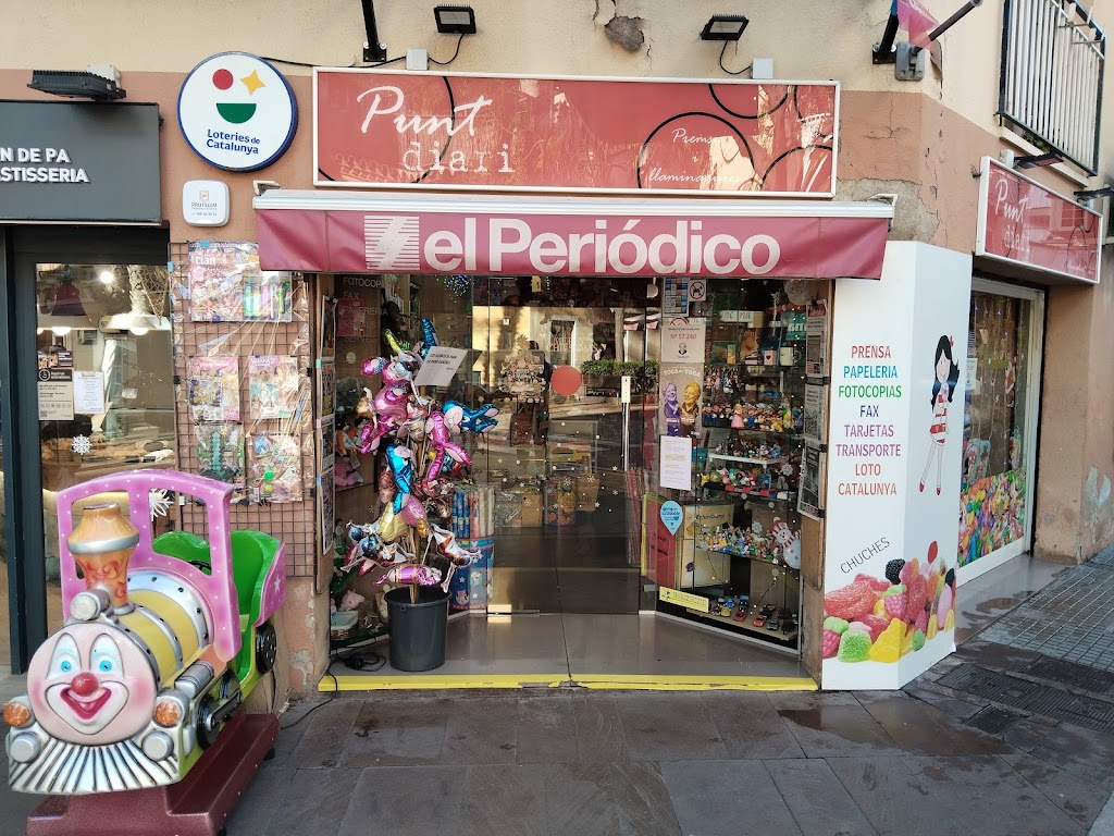 Punt Diari