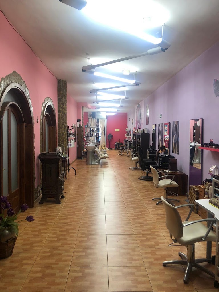 Iman Peluqueria La Laguna — Interior