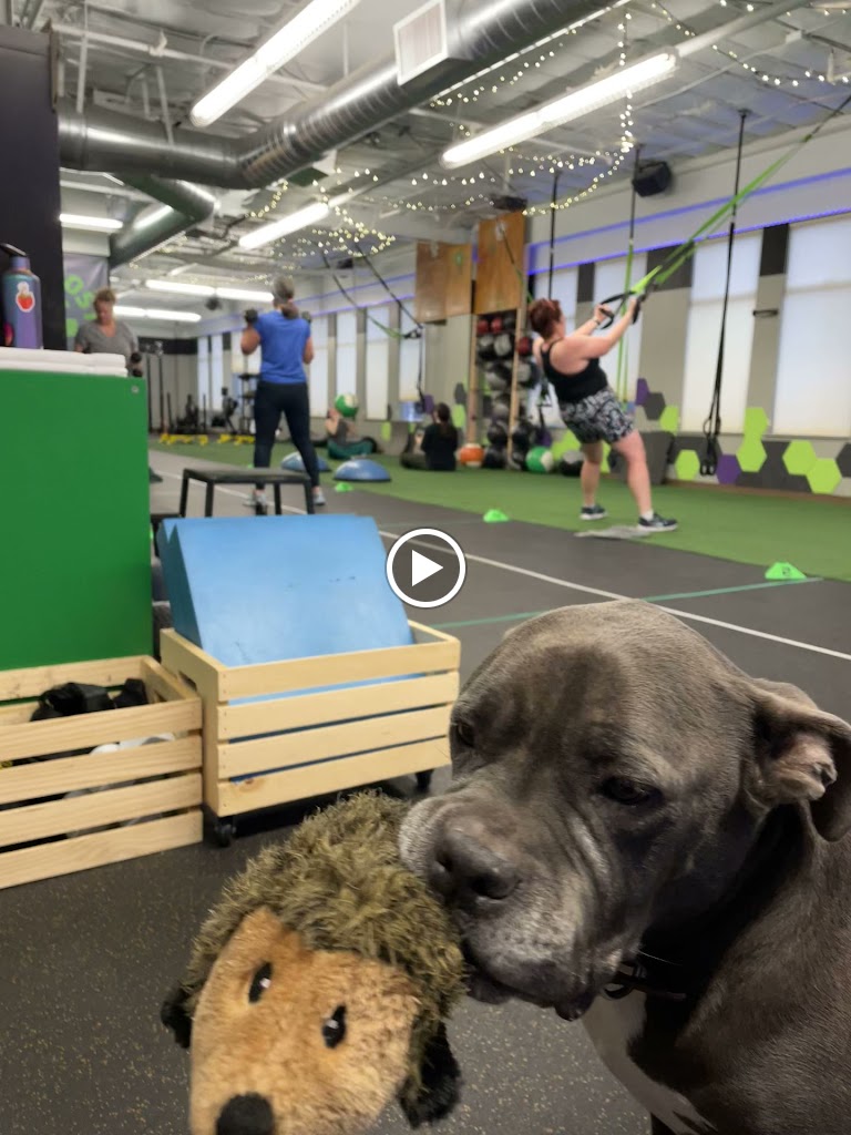  Contra Costa Fitness