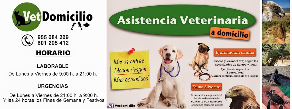 VetDomicilio — Perro