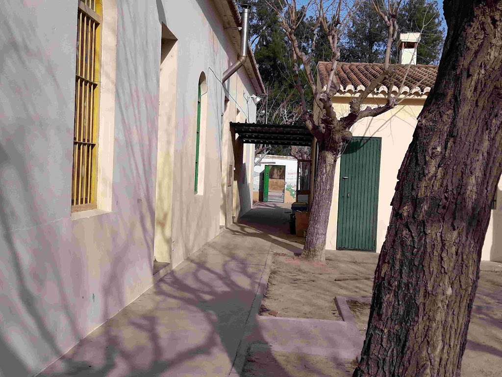 Grupo Scout Rebalsadors 657