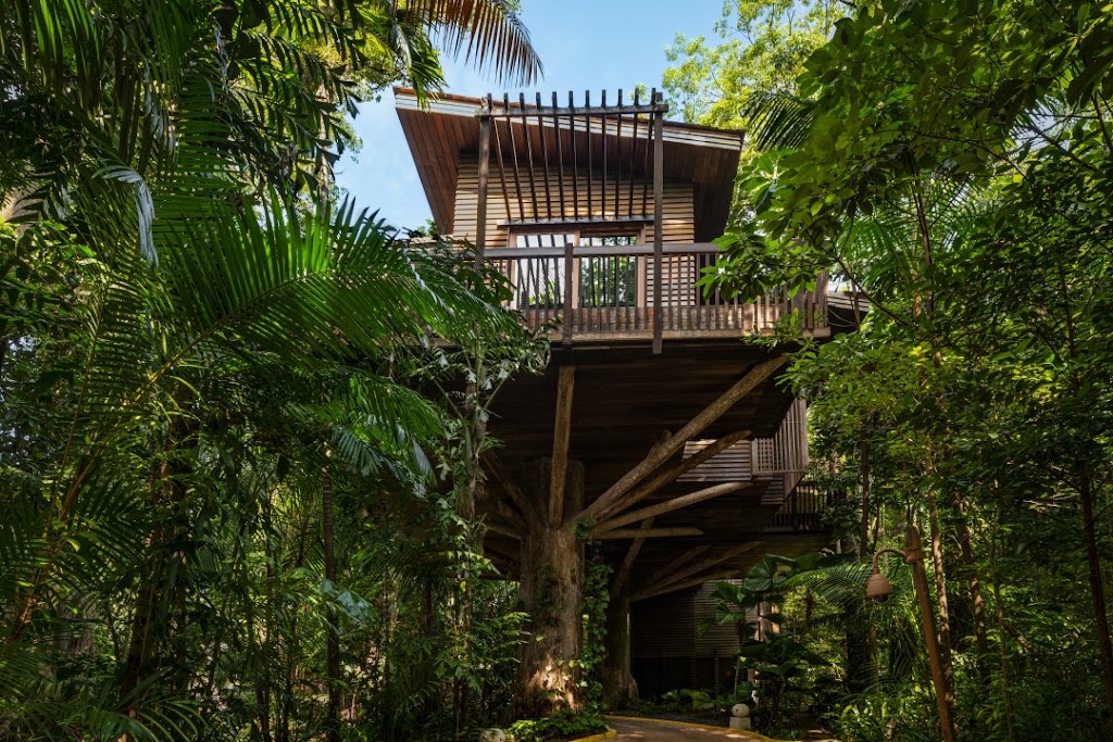 Equarius Treetop Lofts