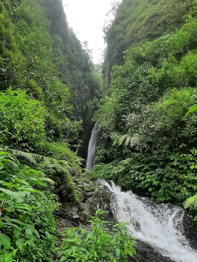 Bumi Perkemahan Coban Manan