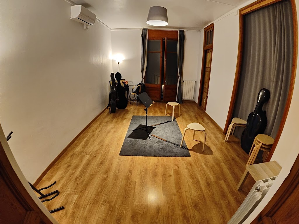 Clases de Musica - Violoncello, Piano, Violin...