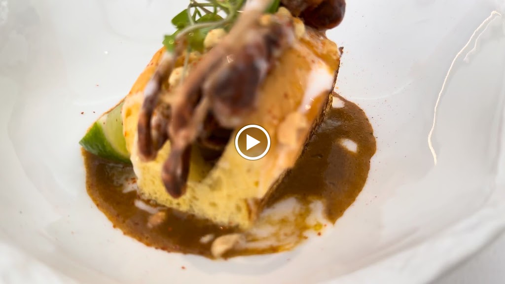 Restaurant dvisi — Videos
