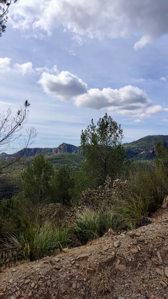Puig d'Endi