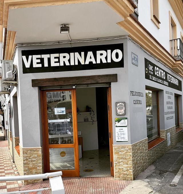 Centro Veterinario Perro Pirata