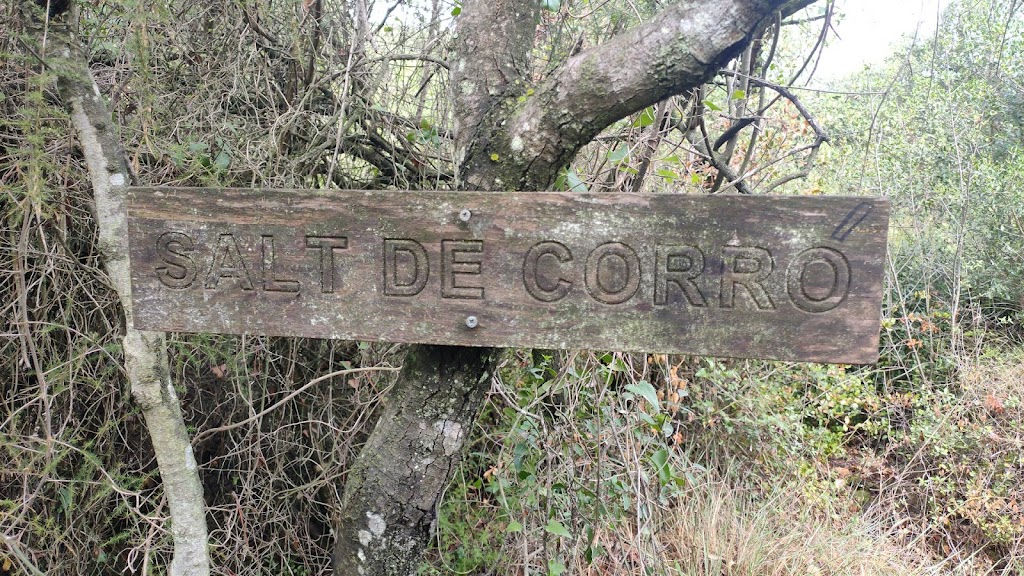 Salt del Corro