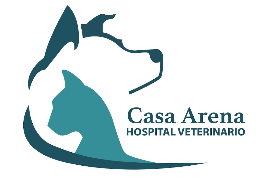 Casa Arena Hospital Veterinario — Perro