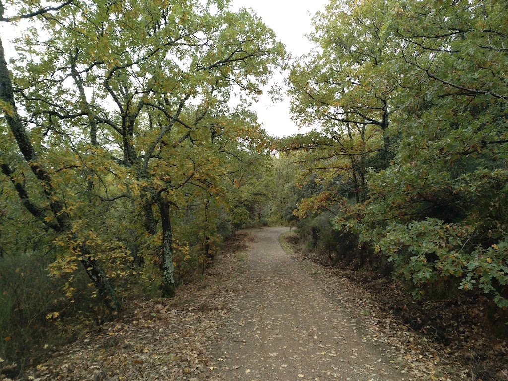 El Camino Olvidado