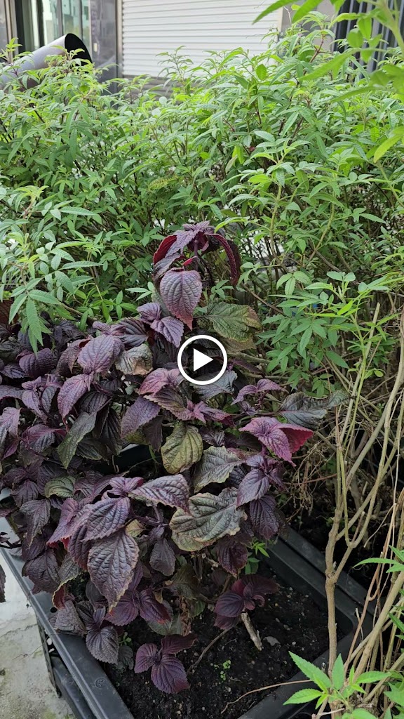 沐森澤敘早午餐 的照片