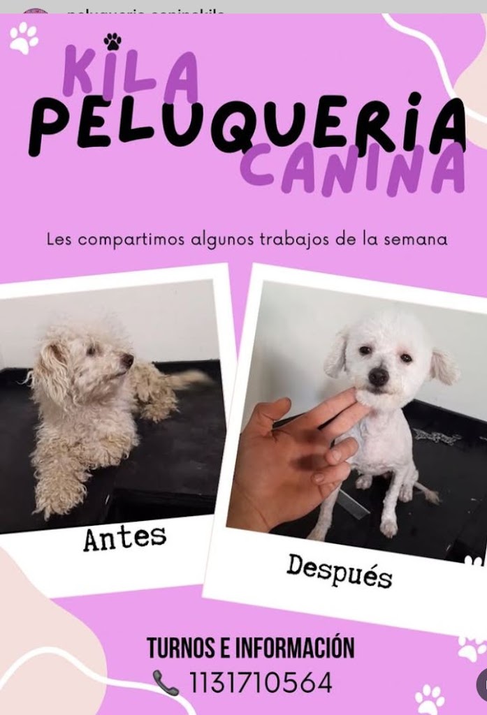 Más recientes
