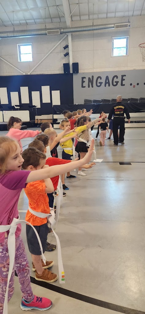  Human Engineer Taekwondo