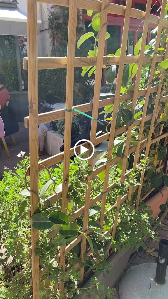 Restaurante A La Brasa — Ambiente