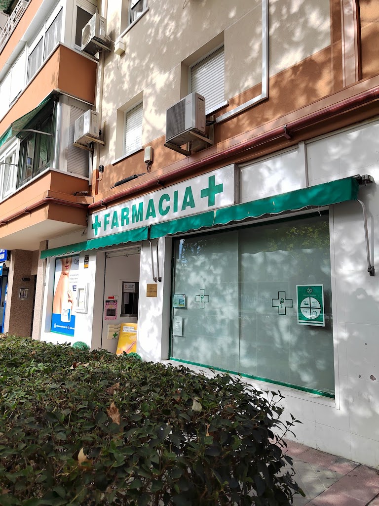 Soldevila Manrique, Laura Pilar