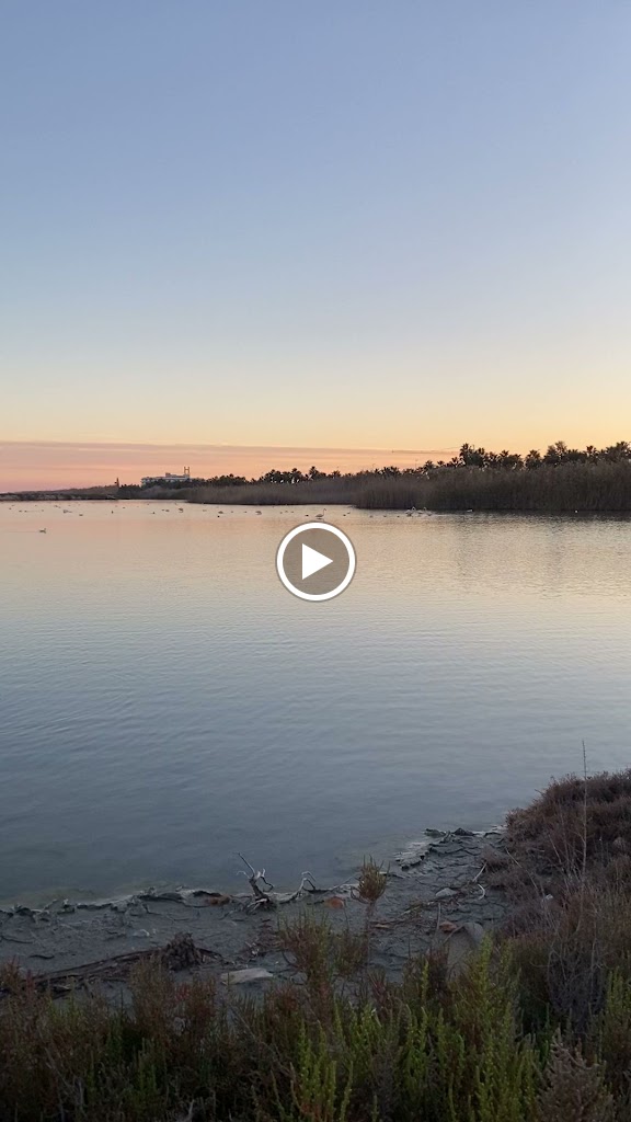 Flamencos de San Pedro del Pinatar — Videos