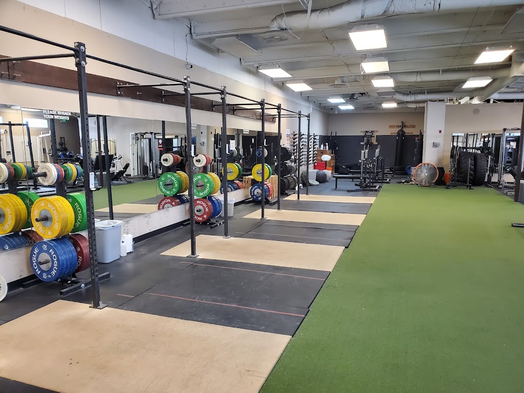  Embody Strength and Wellness