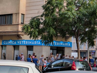 Clinica Veterinaria Foners — Del propietario