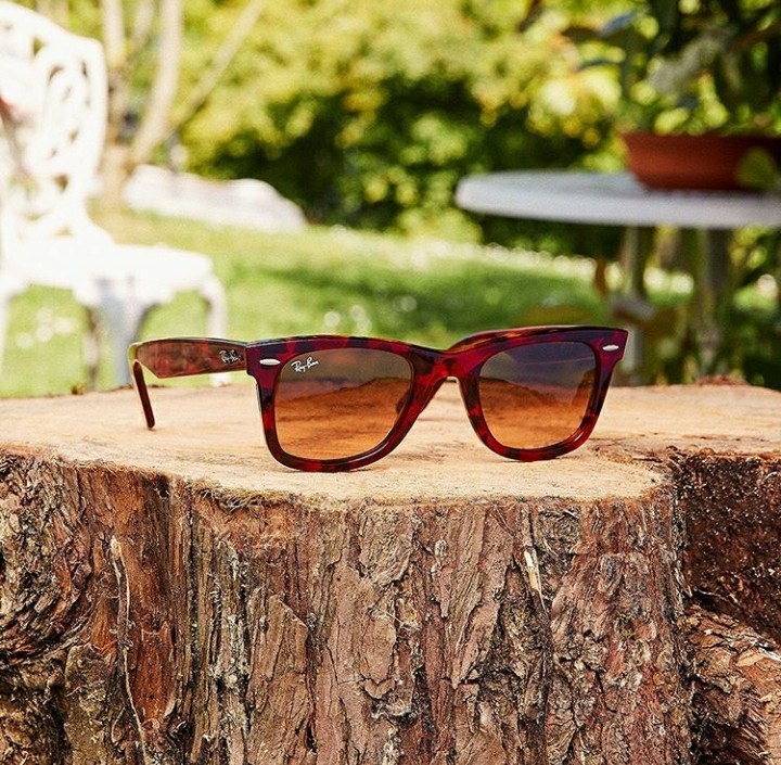 Opticas Vision y Centro Auditivo de Alcaniz (Teruel)