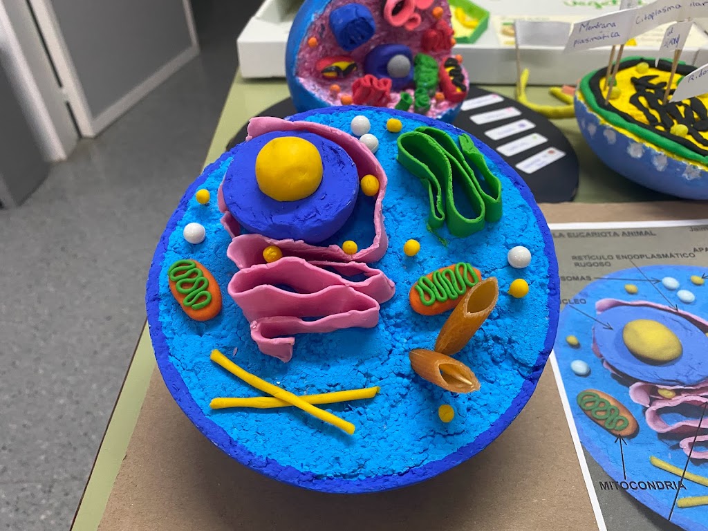 IES Olivar de la Motilla