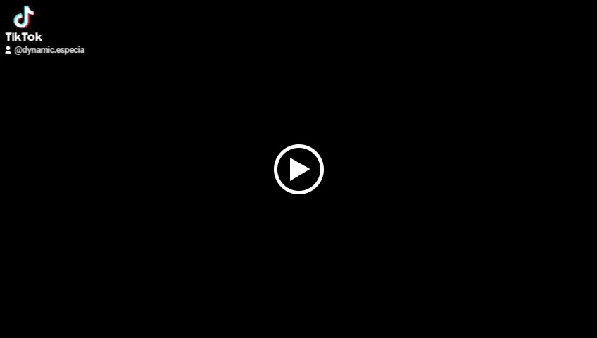 DYNAMIC ESPECIAS — Videos