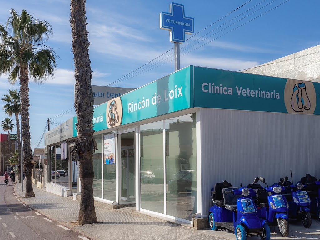 Clinica Veterinaria Rincon de Loix