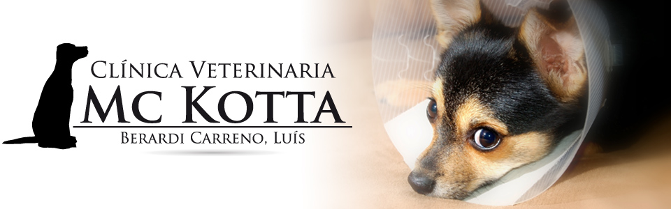 Del propietario