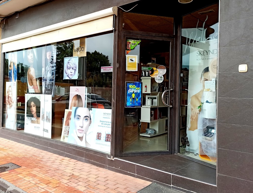 Wellness Peluqueria - Estetica