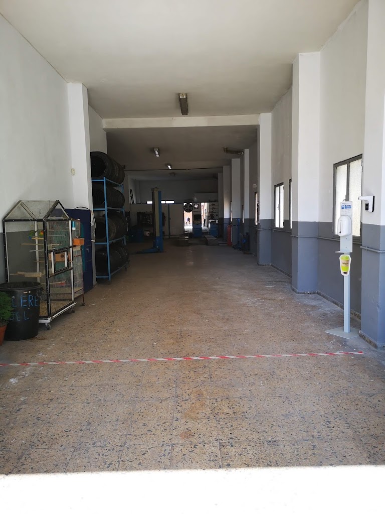 Neumaticos Bumy — Del propietario