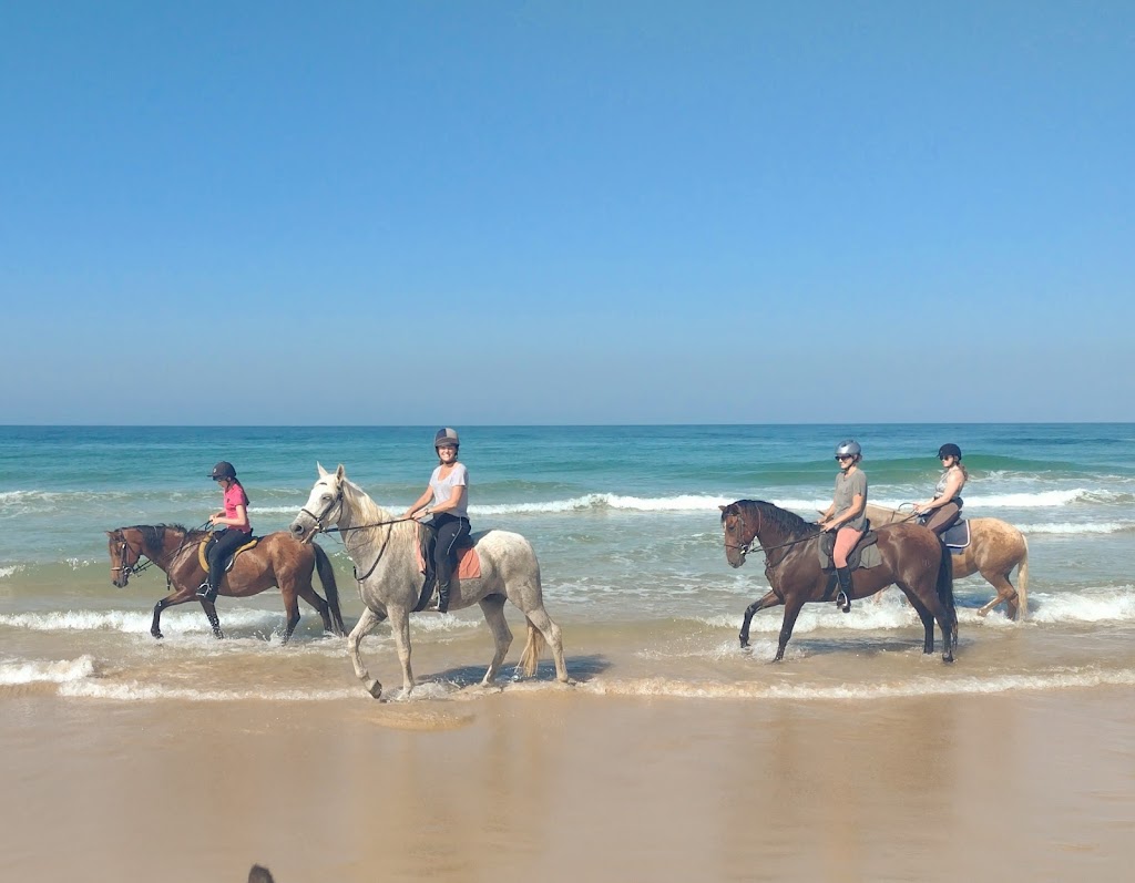 Fantasia Adventure Holidays S.L.