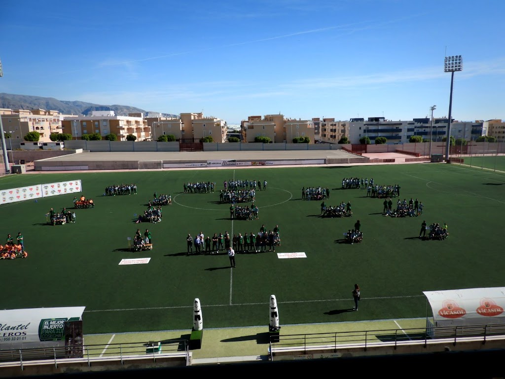 Campo de futbol Vicar