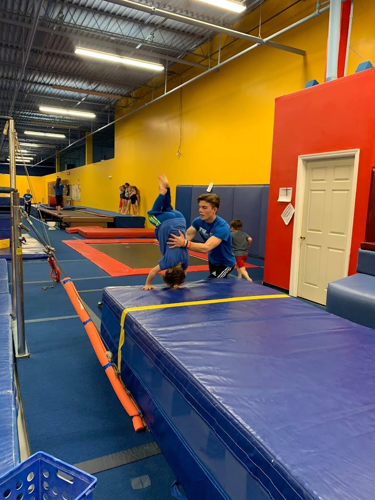  International Gold Gymnastics